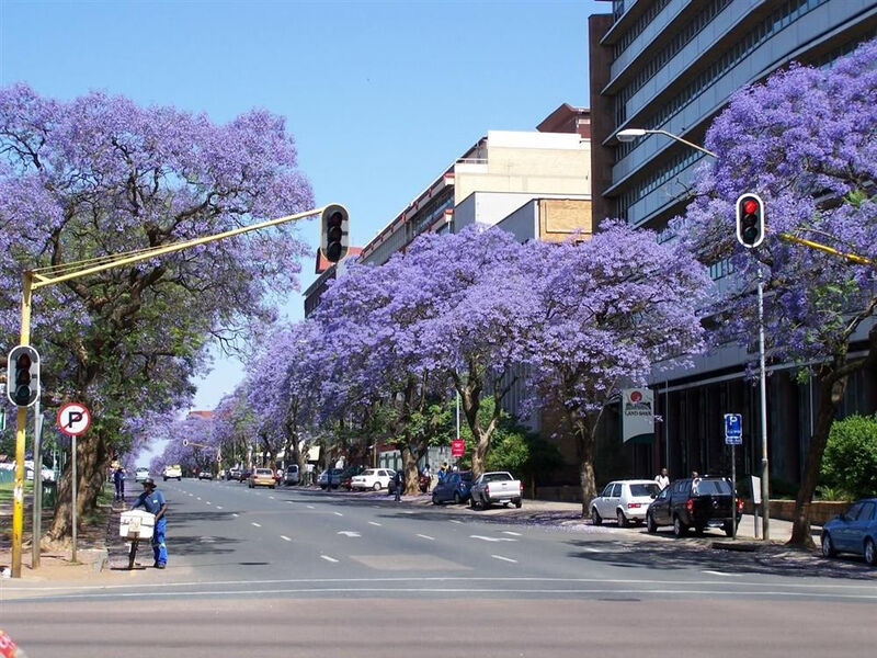Johannesburg, Panorama Route, KNP a prodloužení v Mozambiku