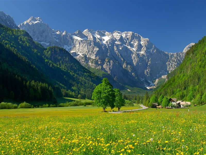 Julské Alpy - pohoda pod štíty Triglavu s turistikou