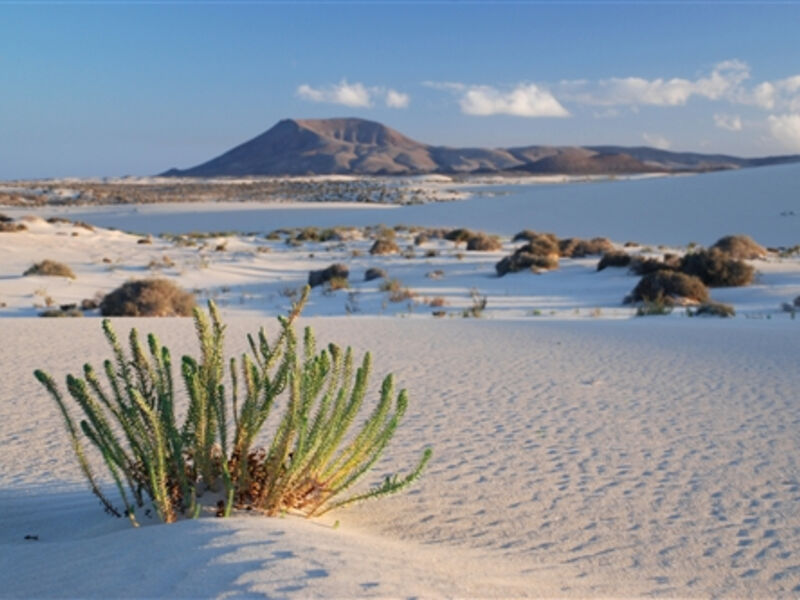 Kanárské ostrovy – Lanzarote a Fuerteventura