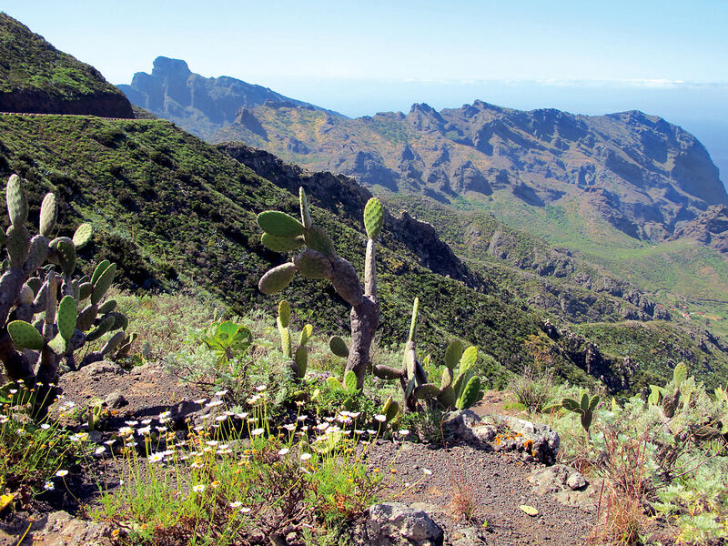 Kanárské Ostrovy Tenerife A La Gomera - Prodloužený Pobyt U Moře