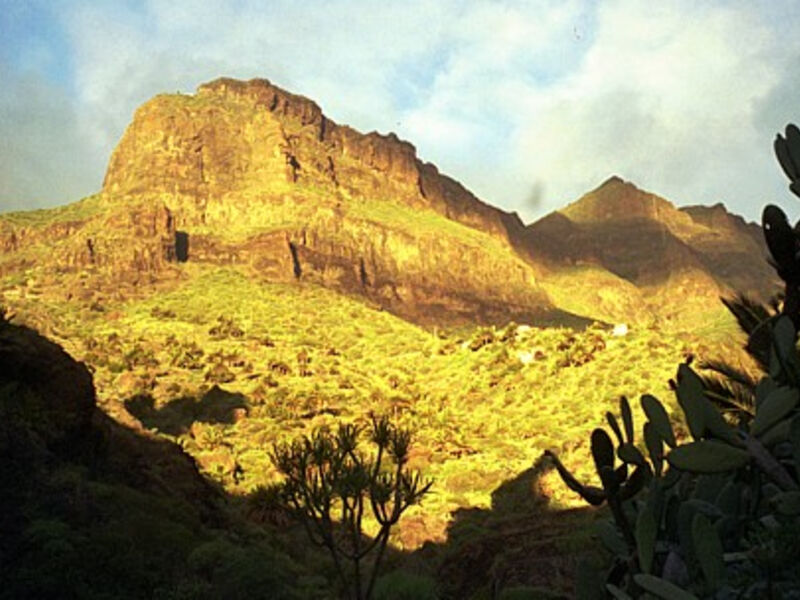 Kanárské ostrovy – Tenerife, La Palma a Gomera