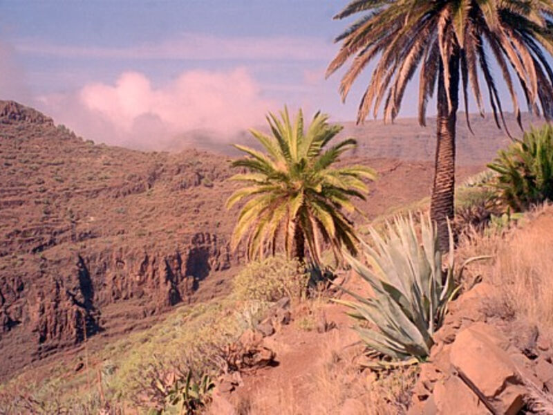 Kanárské ostrovy – Tenerife, La Palma a Gomera