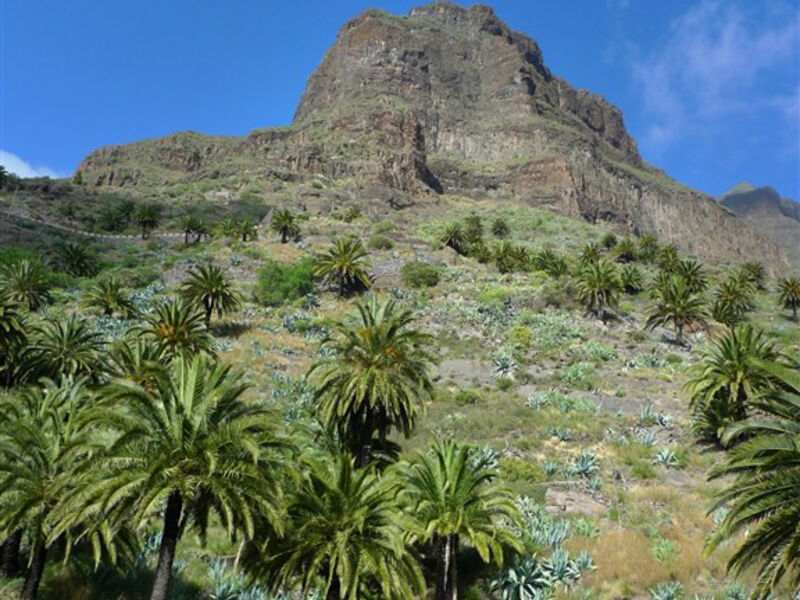 Kanárské Ostrovy - Tenerife - Turistika Mezi Sopkami A Exotickými Soutěskami