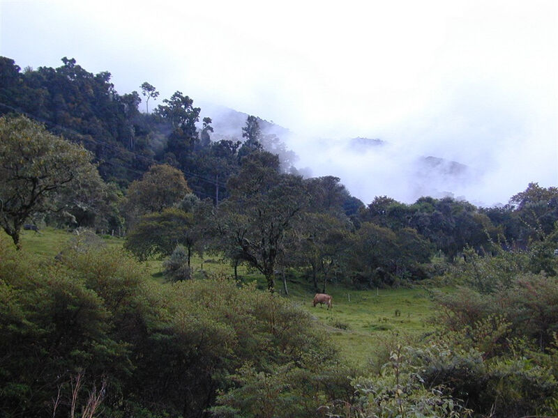 Kostarika: Jižní Okruh - 8 Dní