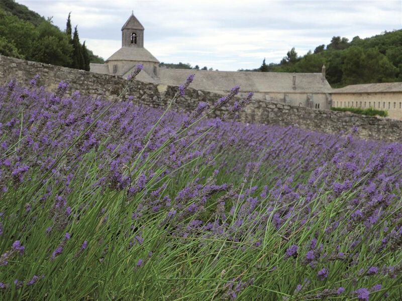 Krásy Provence