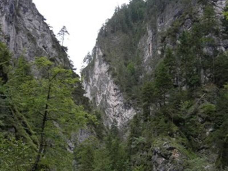 Krásy Tyrolska a slavnost shánění stád