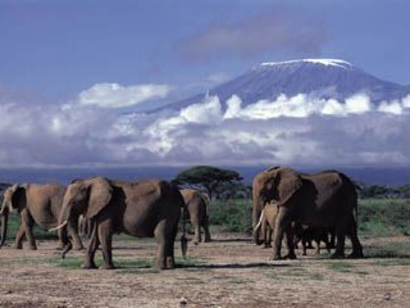 Luxusní Safari V Keni - 8 Dní
