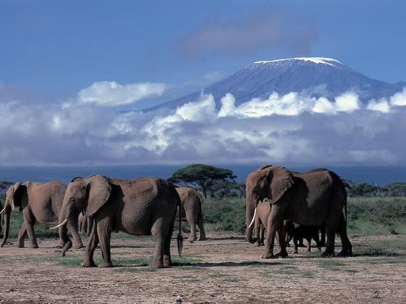 Luxusní Safari - Zlatá Klasika Tanzánie