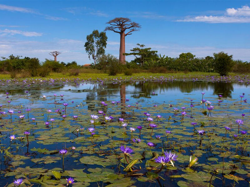 Madagaskar - ostrov přírodních krás