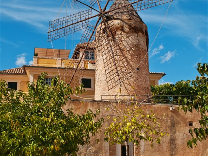 Mallorca  - perla Středomoří, přírodní krásy a kultura
