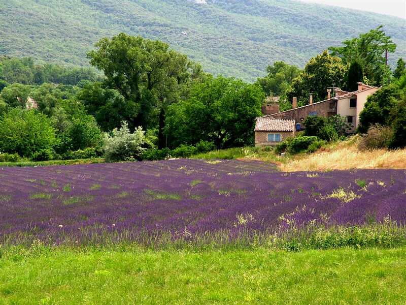 Malování V Provence