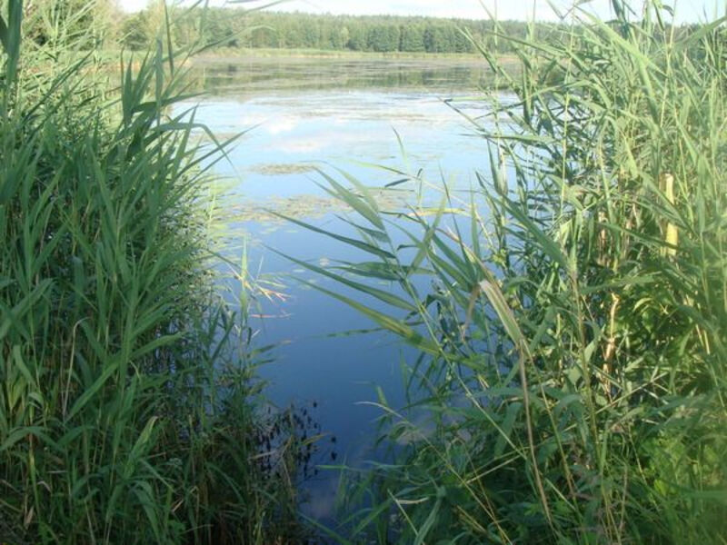 Mazurská Jezera Na Kole