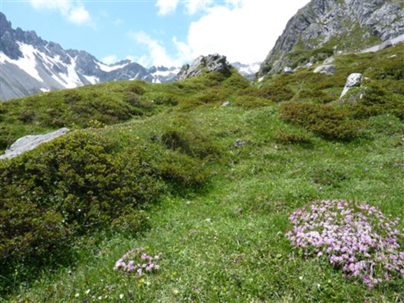 Montafon, rozkvetlá alpská zahrada