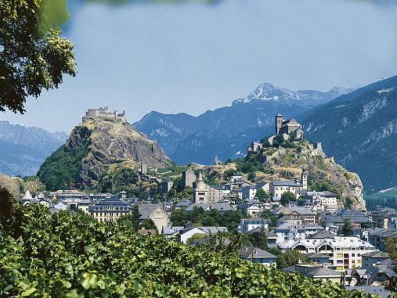 Mt. Blanc, průsmyk sv. Bernarda a vinice ve Wallisu