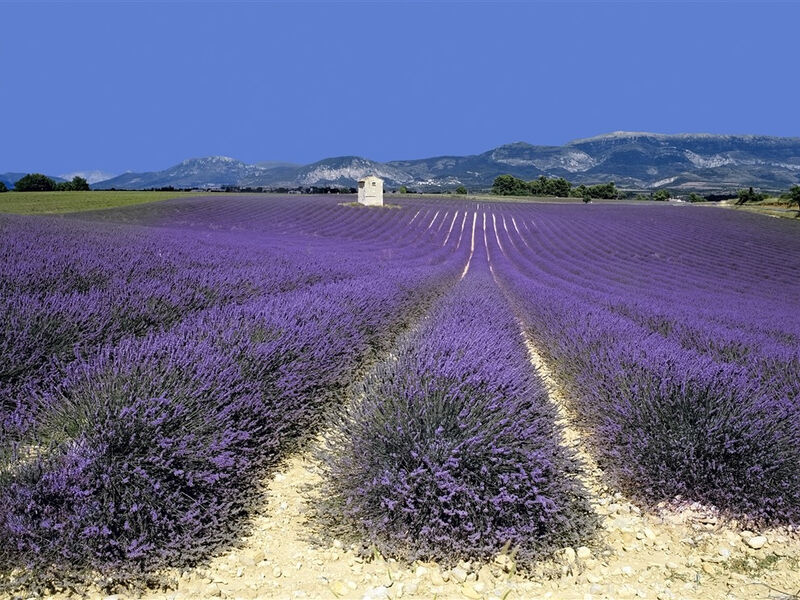 Na Kole Po Provence