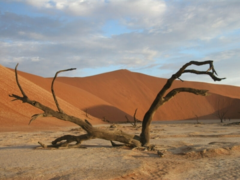 Namibie off-road – pouští a divočinou