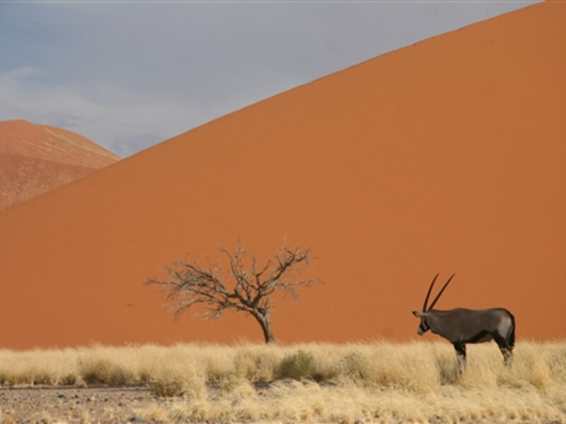 Namibie off-road – pouští a divočinou