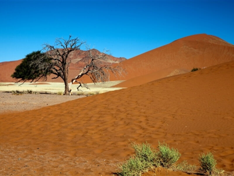 Namibie – pouští a divočinou