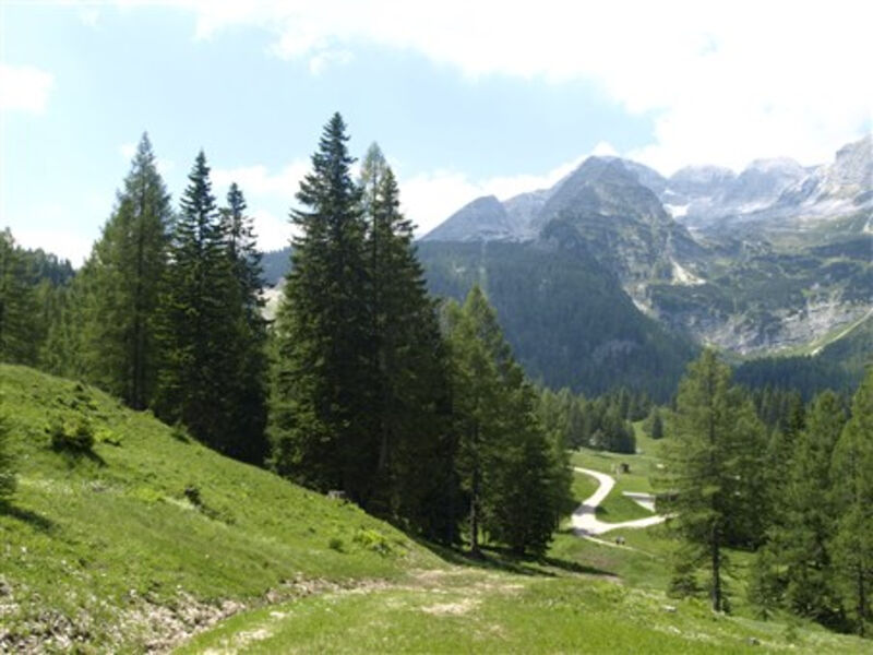 Národní park Kalkalpen, zahrada Rakouska Tauplitzalm