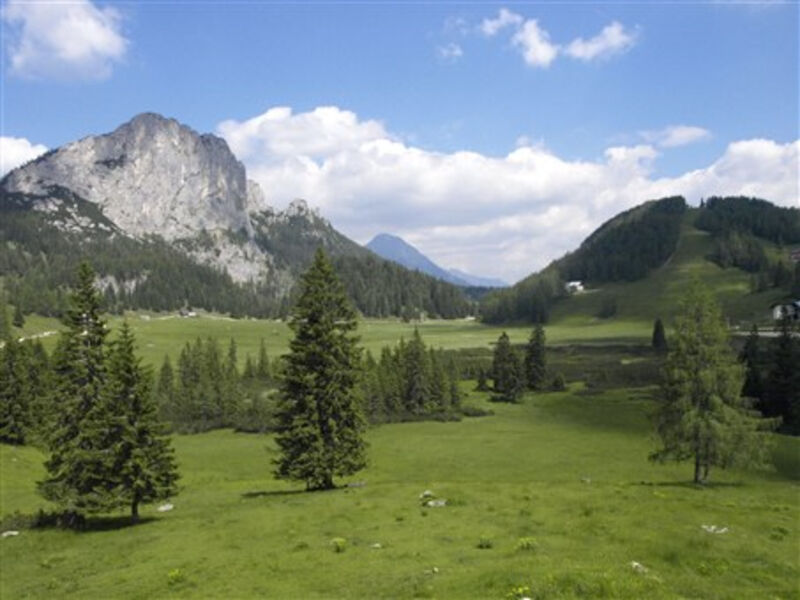 Národní park Kalkalpen, zahrada Rakouska Tauplitzalm