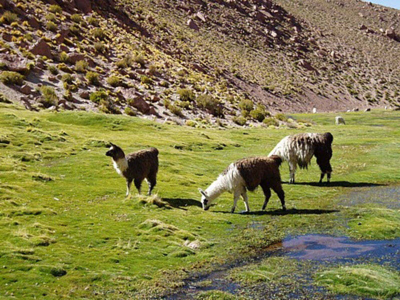 Národní parky Patagonie