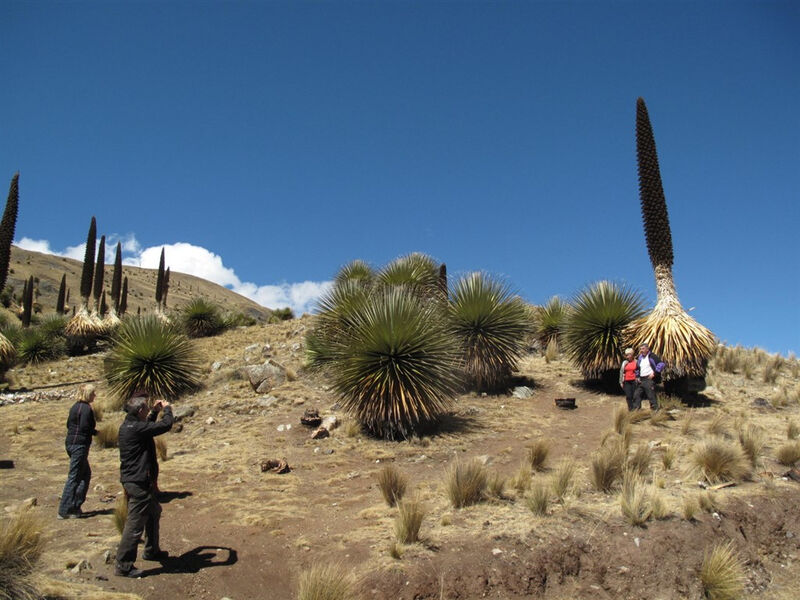 Národní Parky Peru, Bolívie A Chile S Lehkou Turistikou