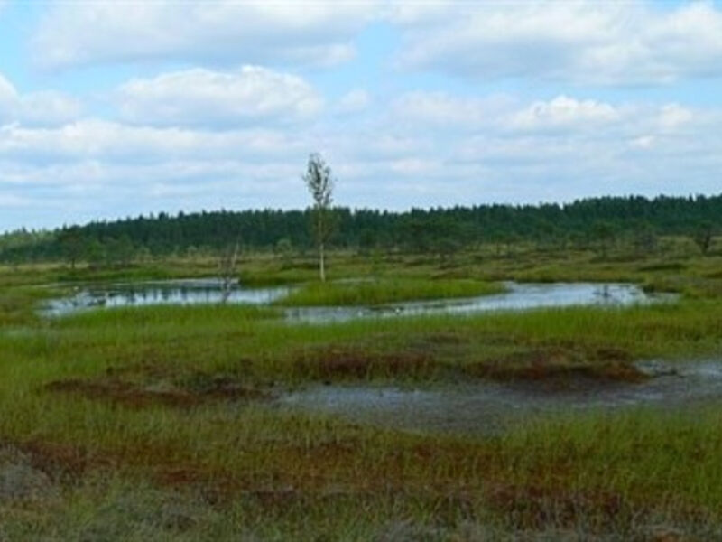 Národní parky Pobaltí a estonské ostrovy
