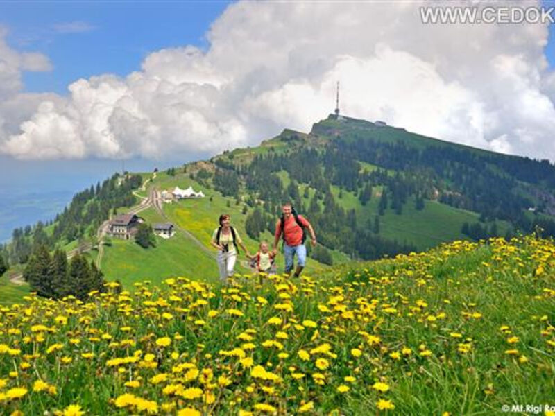 Nejkrásnější Kouty Švýcarska Panoramatickými Drahami