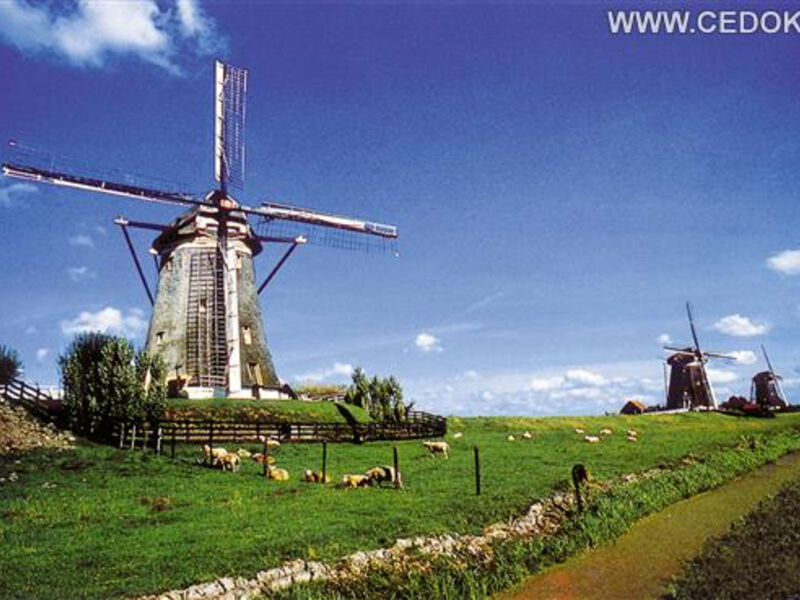Nejkrásnější Místa Severního Holandska S Návštěvou Ostrova Texel