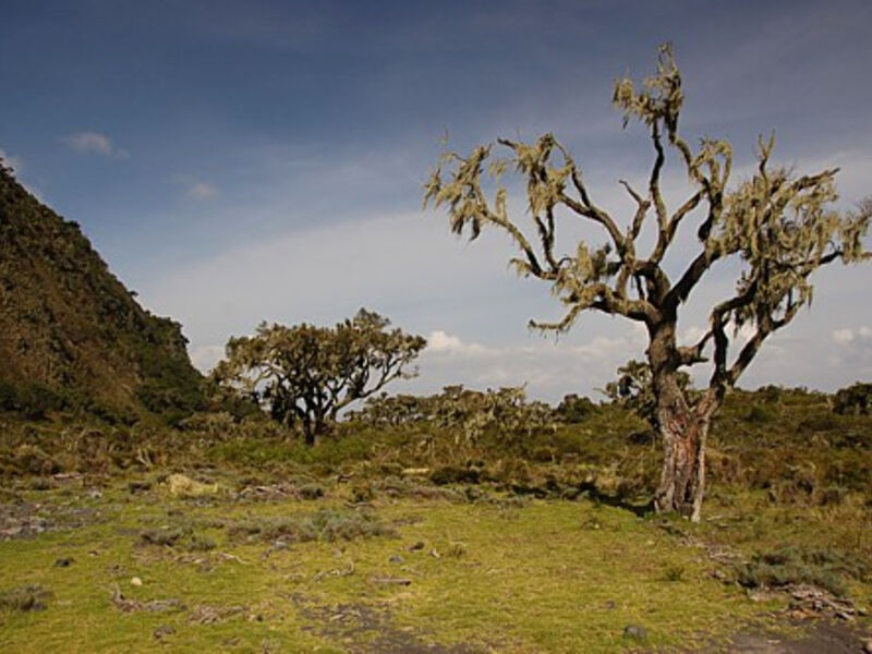 NP Arusha a Mt. Meru
