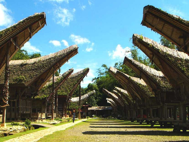 Objevování Domorodých Kmenů Ostrova Sulawesi S Odpočinkem Na Bali - 12 Dní