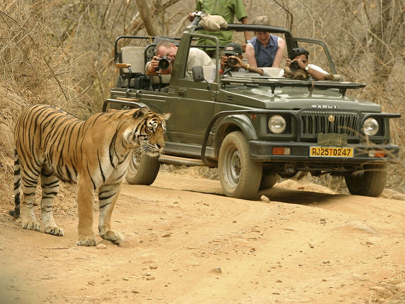 Objevování Indie A Tygří Safari V Np Corbett - 11 Dní