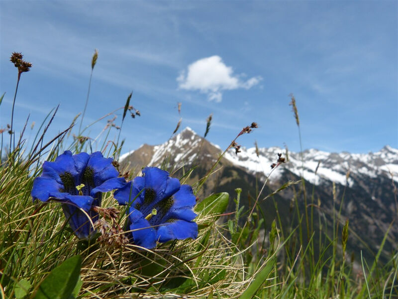 Orlí hnízdo - alpské vyhlídky, NP Berchtesgaden a  Salzburg