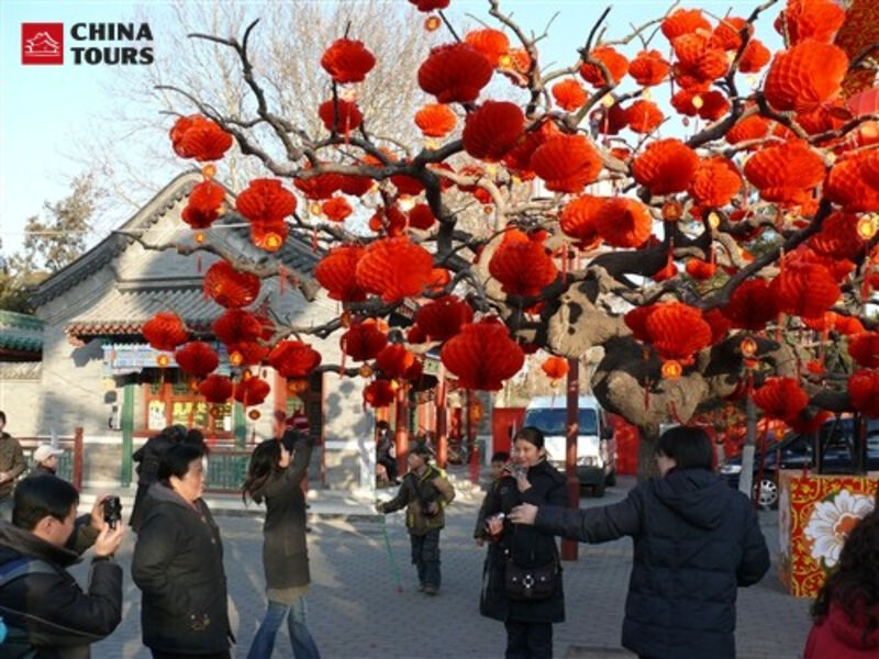 Oslavy Čínského Nového Roku ***