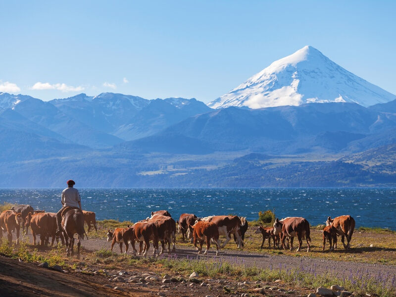 Patagonie a Ohňová země