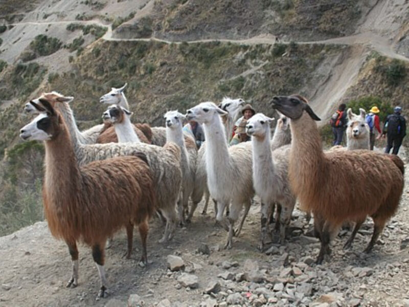 Peru s National Geographic