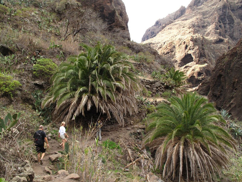 Pohodový Týden - Tenerife - Mezi Sopkami A Exotickými Soutěskami