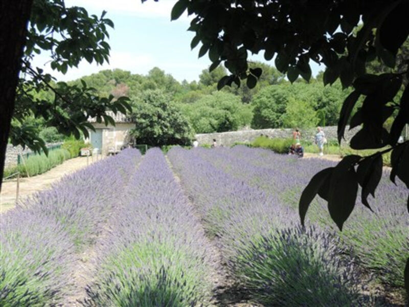 Přírodní parky a památky Provence s koupáním