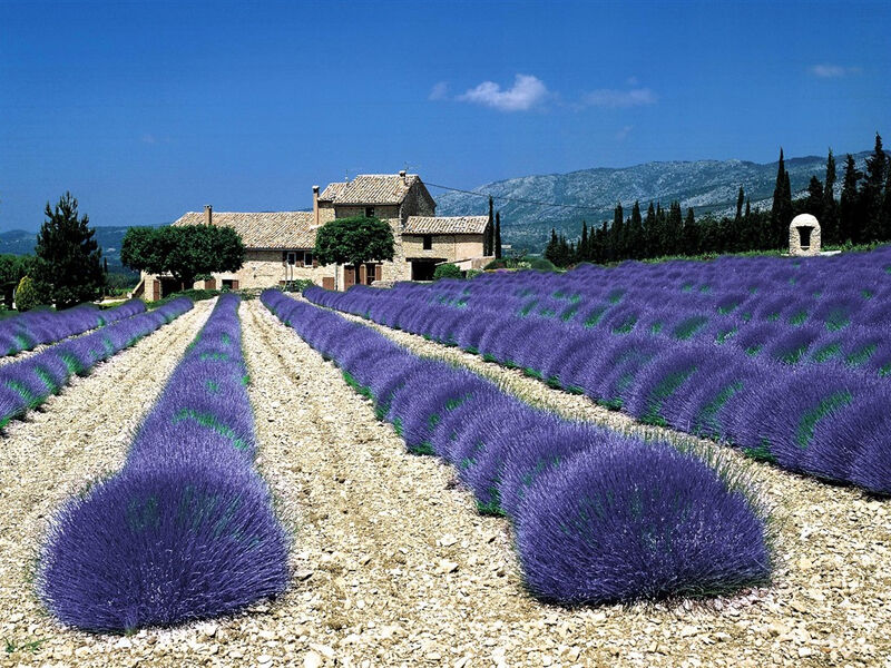 Provence Na Kole Krajem Vína A Levandule, Přes Hory A Údolí Až K Moři