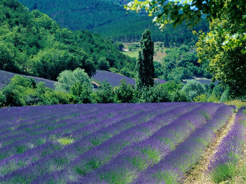 Provence Na Kole Krajem Vína A Levandule, Přes Hory A Údolí Až K Moři