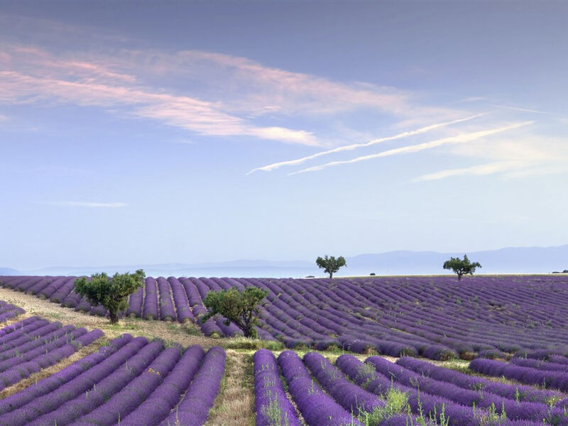 Provence ve stylu Korsiky