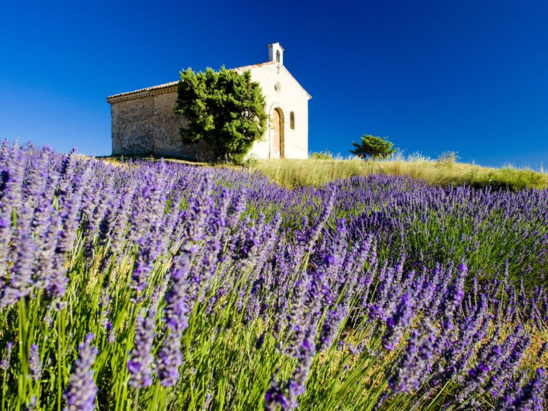Provence - vůně levandule, turistické skvosty a přírodní parky