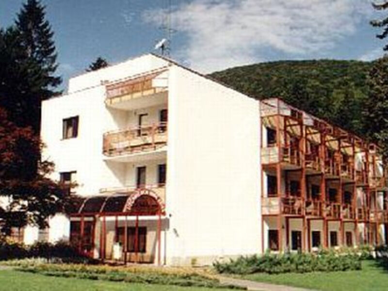 Rajecké Teplice - Hotel Mal
