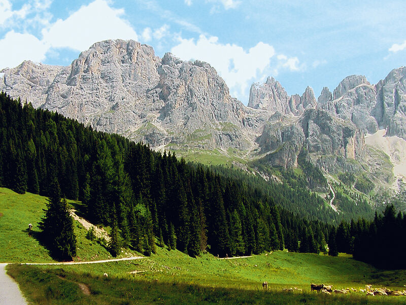 Rozmanité Dolomity - Alpe Di Siusi, Brenta, Merano - Bez Nočních Přejezdů