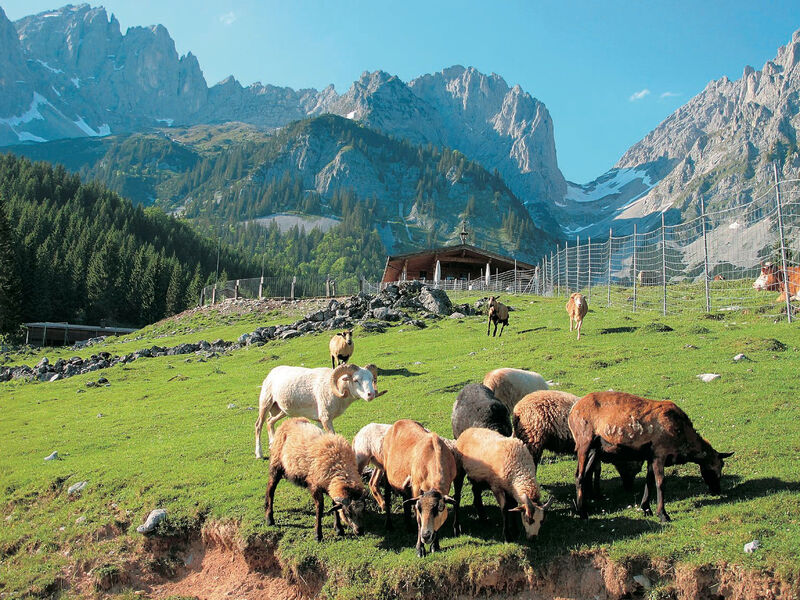 Rozmanité Rakouské Alpy - Np Vysoké Taury, Zillertálské Alpy, Wilder Kaiser
