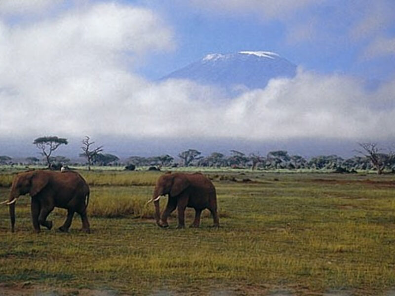 Safari v Keni a Tanzanii, Zanzibar