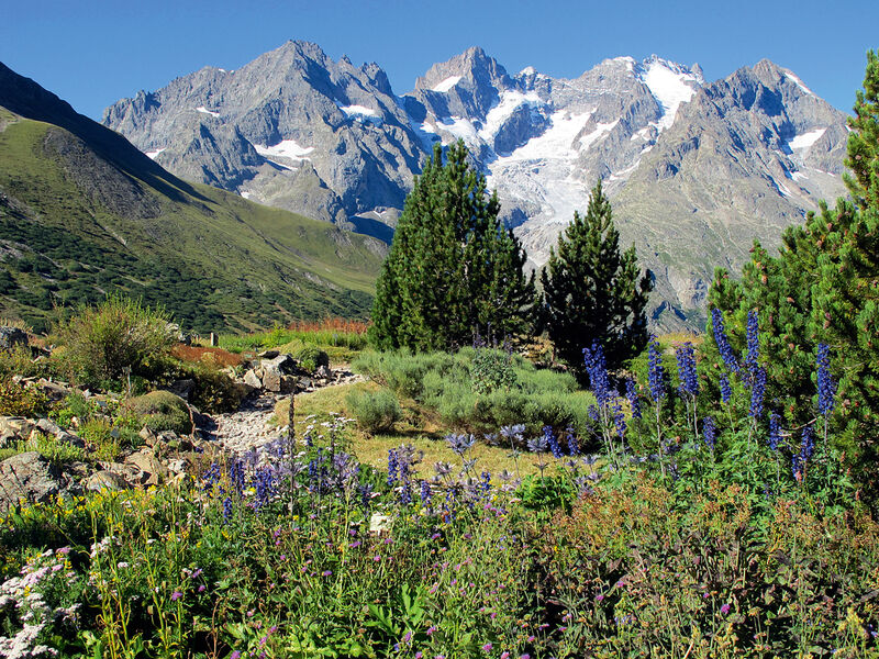 Savojské Alpy - Národní Parky Ecrins A Queyras
