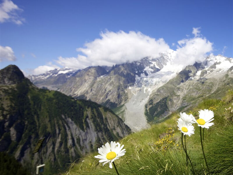 Savojské Alpy,  NP Gran Paradiso a údolí Aosty
