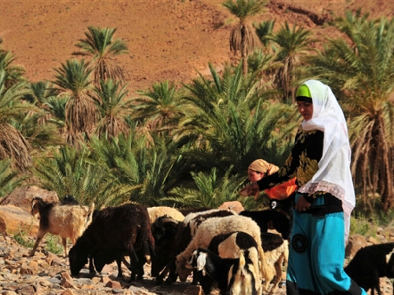 Silvestr v Maroku