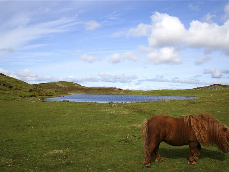 Skotsko - ostrovy Shetlandy s turistikou